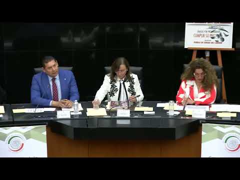 Comparecencia de la secretaria de Energía, Rocío Nahle García, ante la Comisión de Energía