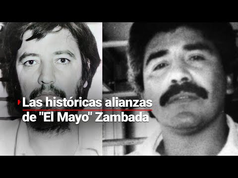 COLABORACIONES HISTÓRICAS | Así fue el crecimiento de El Mayo Zambada en el narcotráfico