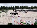 حصان القفز Super leuk en fijn springpaard !