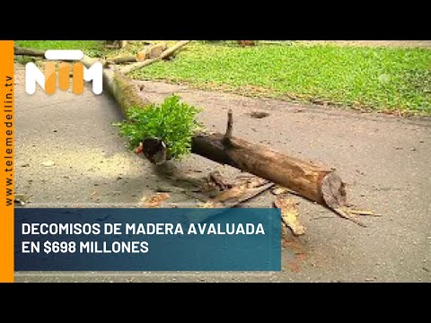 Madera ilegal recuperada estaba avaluada en $698 millones - Telemedellín