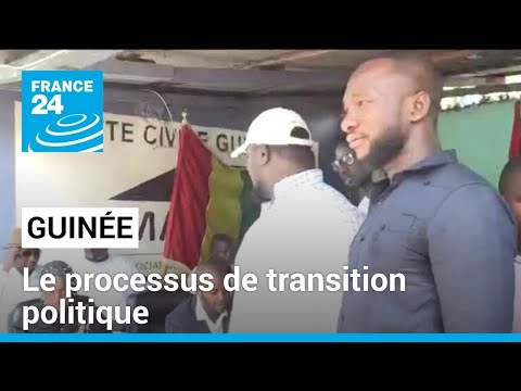 Guinée : des acteurs politiques demandent le respect des délais de la transition • FRANCE 24