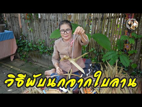 พับนกจากใบลานชุมชนบ้านเดื่อจ