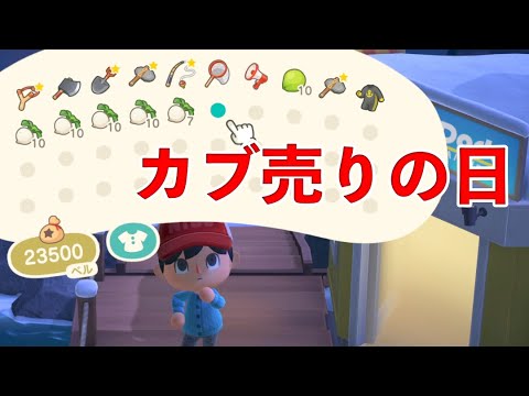 あつ森 3月16日(月) カブ売り