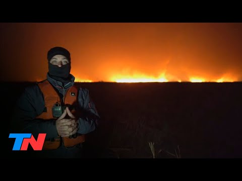 Fuego cruzado | TN en el corazón de los incendios en las islas del río Paraná: imágenes impactantes