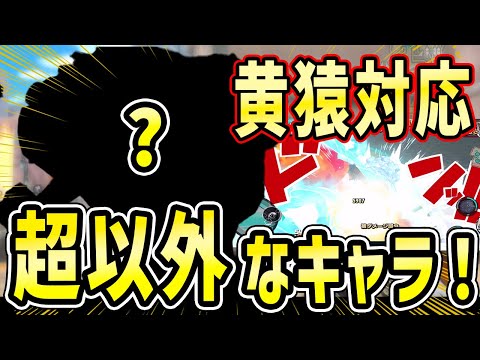 【バウンティラッシュ】黄猿も対応！？超意外な環境楽しいキャラ発見したw