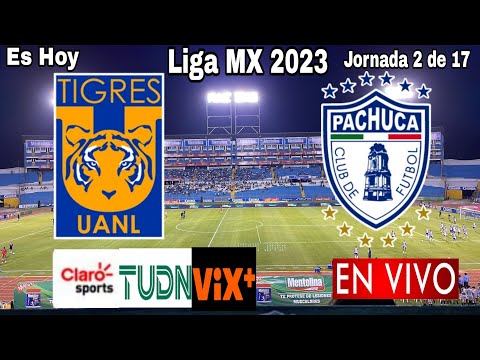Tigres vs. Pachuca en vivo, donde ver, a que hora juega Tigres vs. Pachuca Liga MX 2023