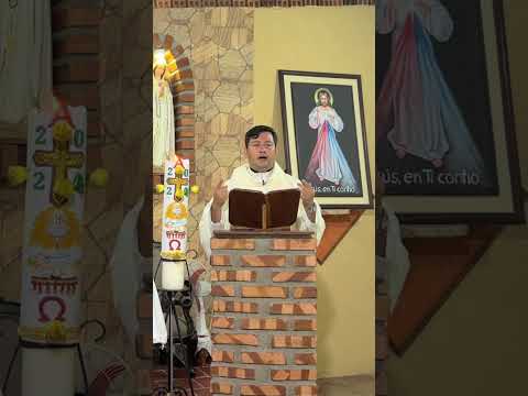 #EvangeliodeHoy #MisadeHoy Domingo 28 de abril de 2024 #Padre Ricardo Prato #Short