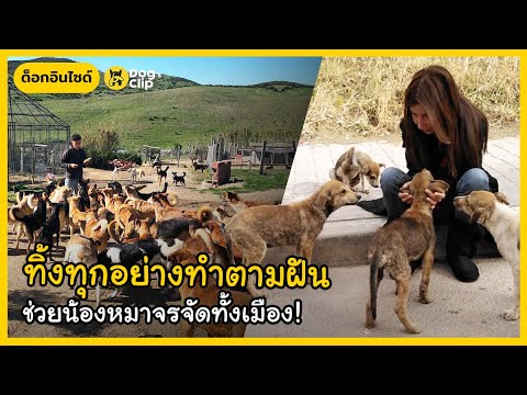 หญิงโมร็อกโกยอมทิ้งทุกอย่างทำต หญิงโมร็อกโกยอมทิ้งทุกอย่างทำต