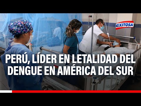 Juan Carbajal: Perú tiene la letalidad más alta de dengue en América de Sur