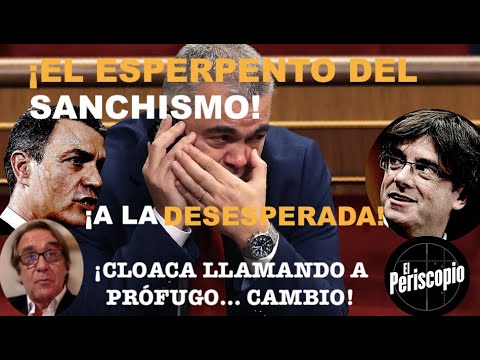 ¡SA?NCHEZ, TOTALMENTE A LA DESESPERADA: MANDA A SANTOS CERDA?N A GINEBRA A IMPLORAR A PUIGDEMONT!