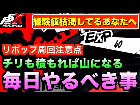 【ペルソナ5X】効率よく経験値を集めるために毎日できる超重要なこと解説！#ペルソナ5 #persona5 #p5 #p5X #p5XJP【ペルソナ5 The Phantom X】