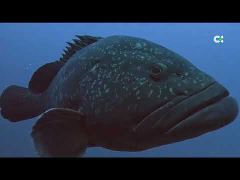 Una isla sumergida en aguas de Lanzarote