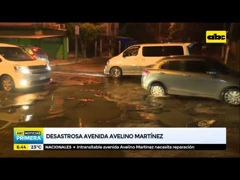 Desastrosa y abandonada avenida Avelino Martínez