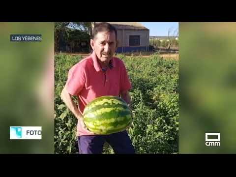 El Campo | 16.500 hectáreas se cultivan en Castilla-La Mancha | 21/08/2023