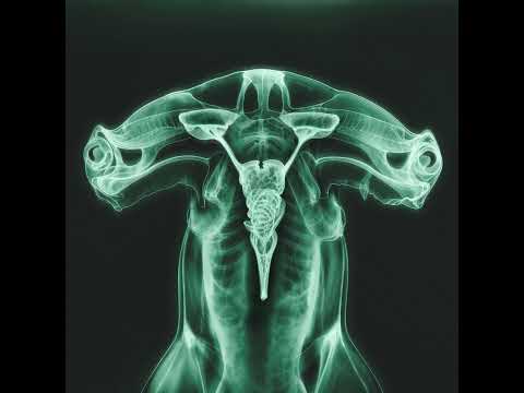 Eartheater Concert Tickets - 2026 Tour Dates.