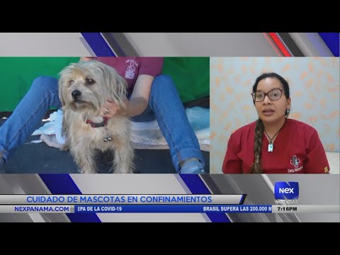 Entrevista a la Dra. Ariadna González, sobre el cuidado de las mascotas en confinamientos