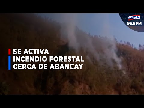 Apurímac: Se ACTIVA incendio forestal cerca de Abancay