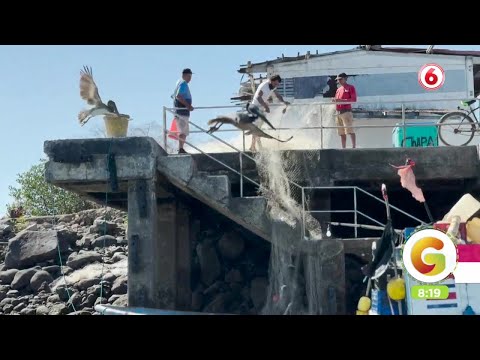 Pescadores nos muestran cómo es su jornada de trabajo
