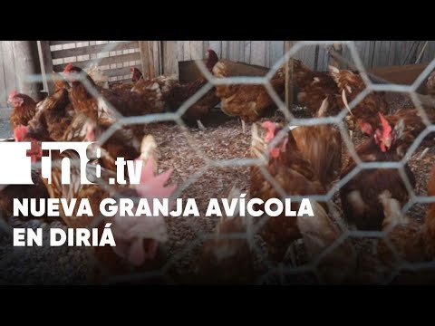 MEFCCA inaugura granja avícola en Diriá, Granada - Nicaragua