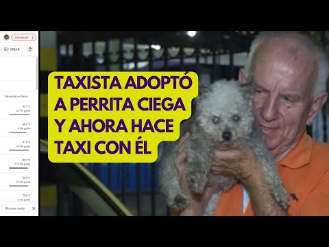 La historia del taxista que adoptó a perrita ciega y ahora hace taxi con él
