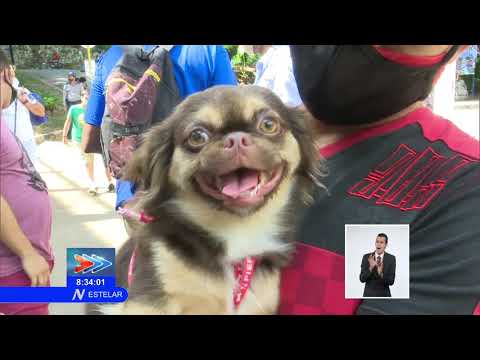 Realizan en Cuba primera Feria de Adopción de Mascotas en La Habana