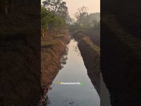 ค่อยๆเรียนรู้ค่อยๆทำไปครับไม่ม