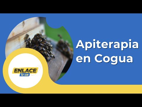 Beneficios de las abejas: Spa con miel en Cogua, Cundinamarca