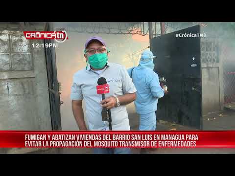 Mano dura contra el zancudo en el barrio San Luis, Managua - Nicaragua