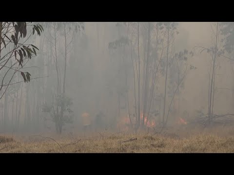 Firefighters, farmers work to extinguish wildfire near Colombian capital Bogota
