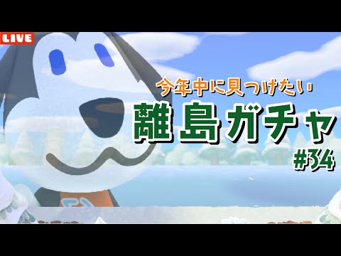 【あつ森】激レア住民ベンを今年中に見つけたい！離島ガチャLIVE配信！【あつまれ どうぶつの森】