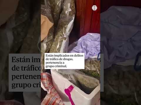 Desmantelan una banda de tráfico de cocaína en la Cañada Real con 17 detenidos