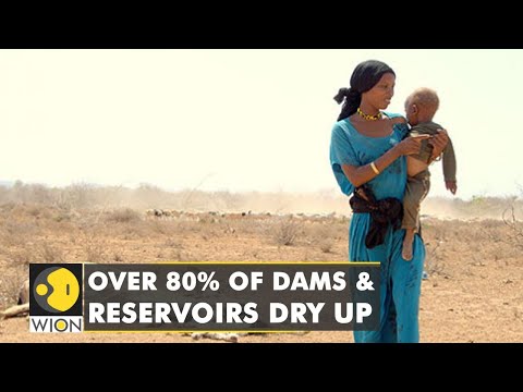 Kenya continues to fight widespread water scarcity as over 80% of dams & reservoirs dry up | WION