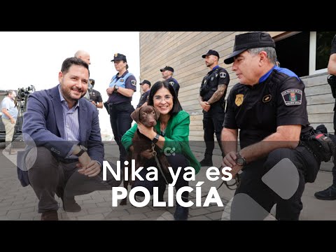 Nika ya es la nueva integrante de la Unidad Canina de La Policía Local de Las Palmas de Gran Canaria