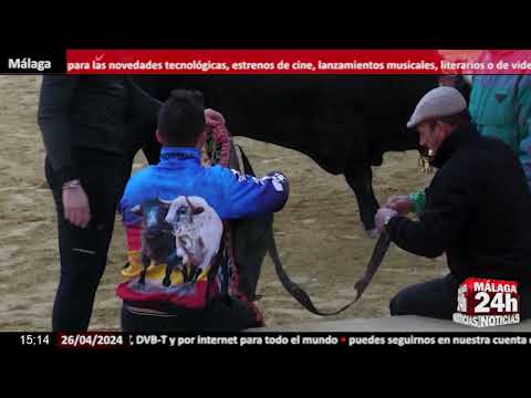 Noticia - Beas de Segura vive el día grande de las fiestas de San Marcos con 80 toros