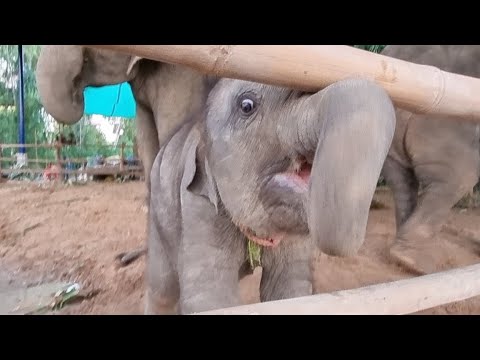 เมย์-ยังอยู่กับน้องทูนหัว🥰🥰🥰 เมย์-ยังอยู่กับน้องทูนหัว🥰🥰🥰