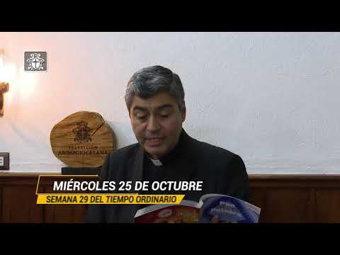 Audiencia General 25 de octubre de 2023 Papa Francisco