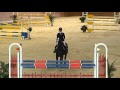 Cheval de CSO 9yo broodmare out of a good damline