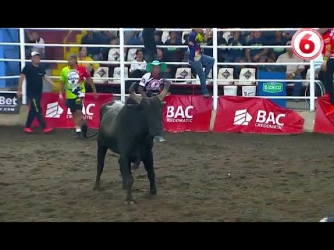 Diviértase con las corridas de toros por Canal 6