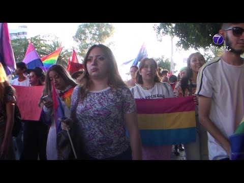 Miles marcharon por los derechos de la comunidad LGBTIQ+ en SLP y para que cesen los crímenes de...
