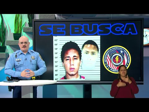 Los Más Buscados Puerto Rico: ¡ENTRÉGATE! Tras la captura de Waldie Rivera Vega, alias Pirulo