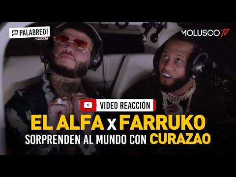 EL ALFA + FARRUKO sorprenden al mundo con CURAZAO ? #VideoReaccion #ElPalabreo ????