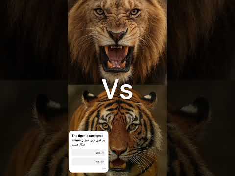 #tiger #animals #bigcat #lion #wildlife #blackpanther #북극곰 #동물 #polarbear #wolf #animals #lion #tige