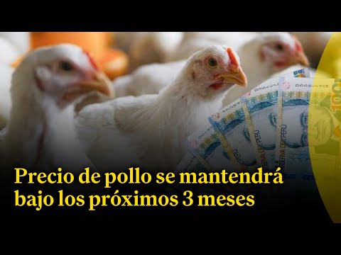 Sobre precio del pollo: Estimamos que se va a mantener los próximos 3 meses por efectos del clima