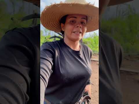 24 de outubro de 2025