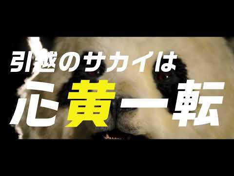 まごころパンダ新ユニフォーム ムービー