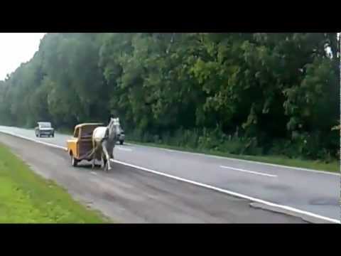 Auto hybrydowe dla każdego