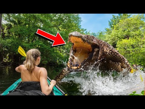 Encuentros ESCALOFRIANTES Con Animales