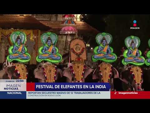 Así se vivió el Festival del Elefante en Jaipur, Rajastán, India