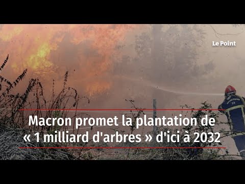 Macron promet la plantation de « 1 milliard d'arbres » d'ici à 2032