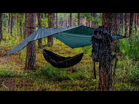 Pros & Cons Of Hammock Camping (Really Better Than Tents?)